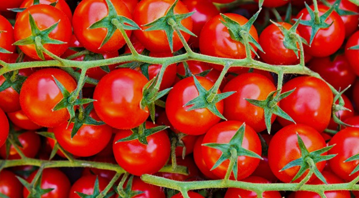 Sun Dried Tomato Substitute: Best Alternatives for Cooking and Recipes